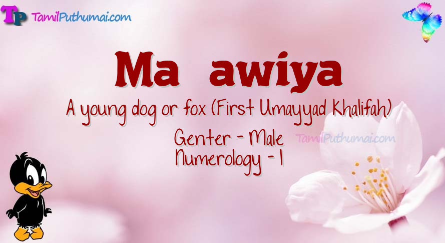 Ma   awiya-babyname-meaning
